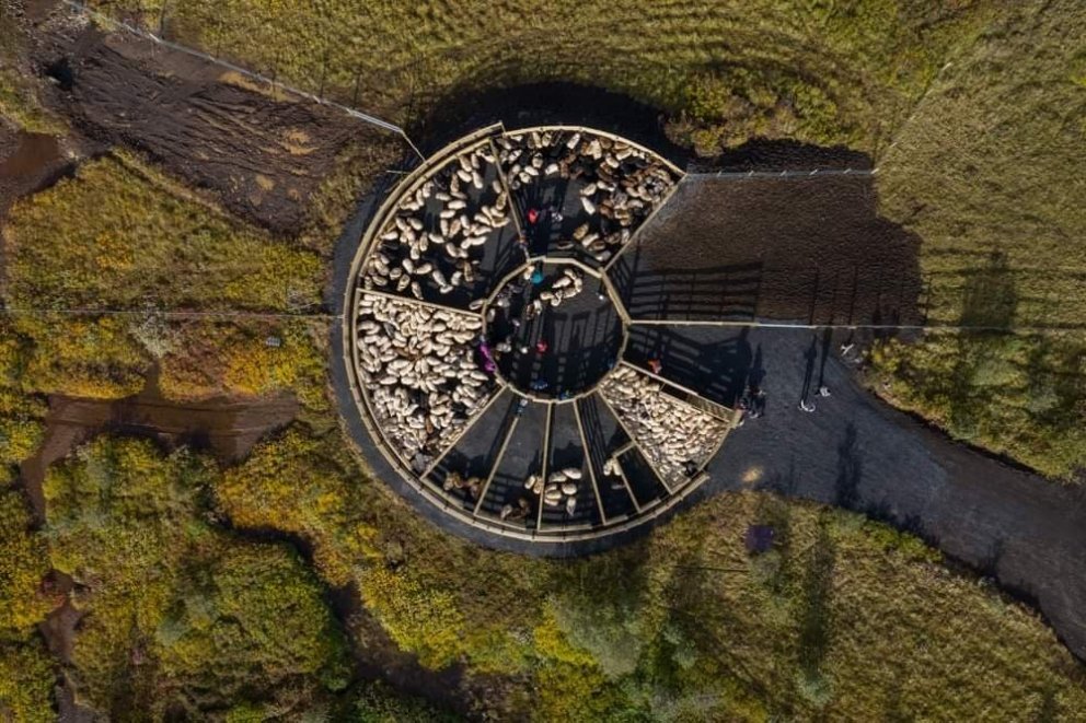 Fjallseðill Grímsnes- og Grafningshrepps 2025