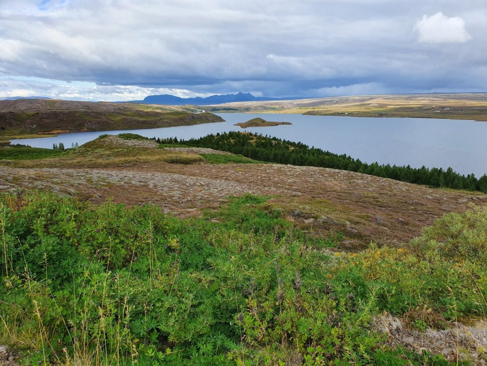 Ársreikningur sveitarfélagsins Grímsnes- og Grafningshrepps 2025