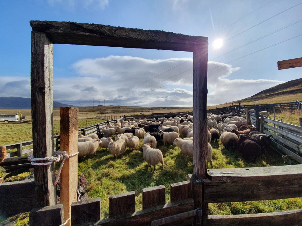 Aðalfundur Búnaðarfélags Grímsneshrepps