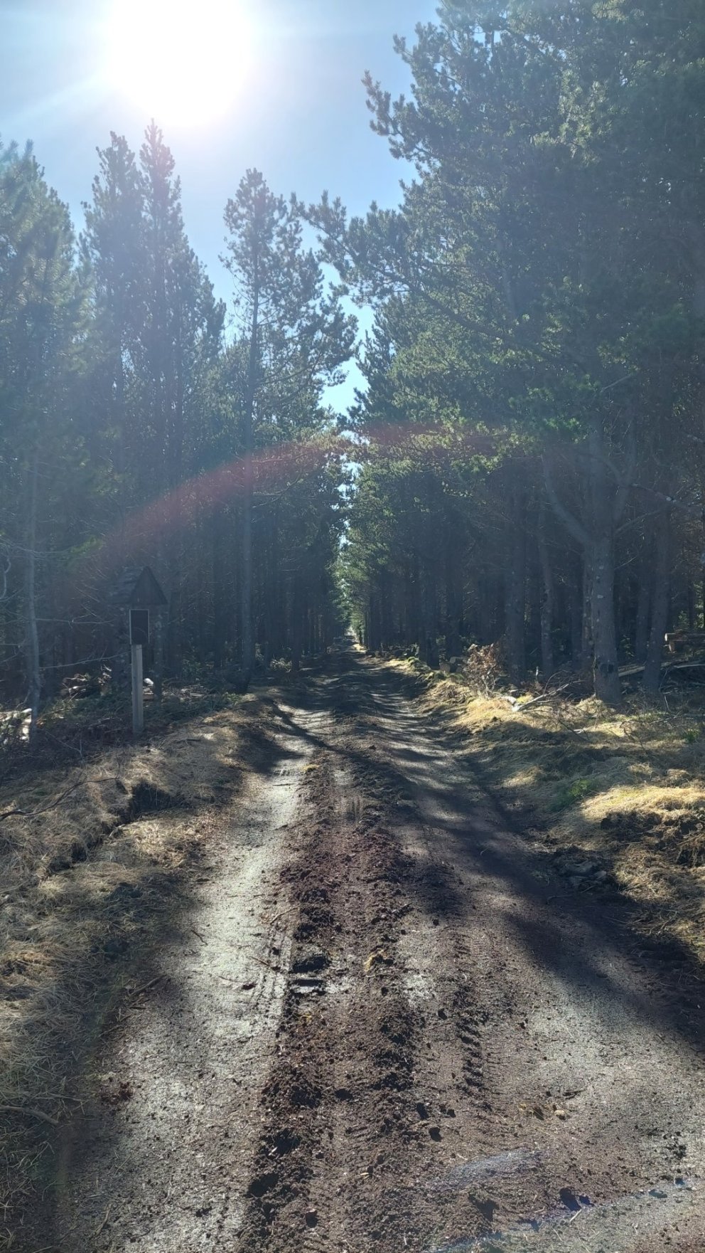 Ganga um Snæfoksstaði