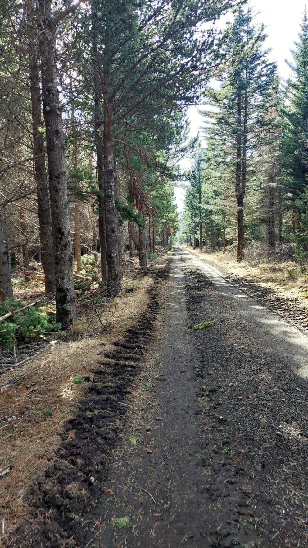 ÝMSIR STYRKIR Í BOÐI FYRIR SAMFÉLAGSVERKEFNI, UPPBYGGINGU OG NÝSKÖPUN