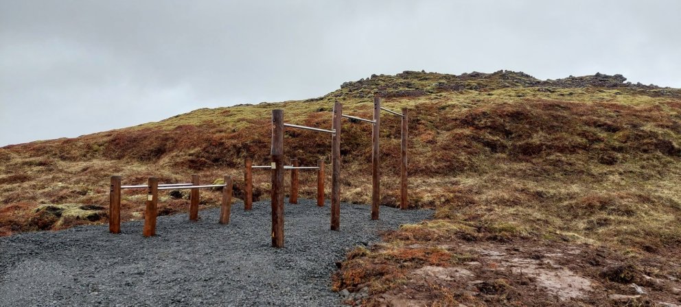 Afþreying í Yndisskóginum