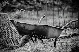 Erum við að leita að þér?