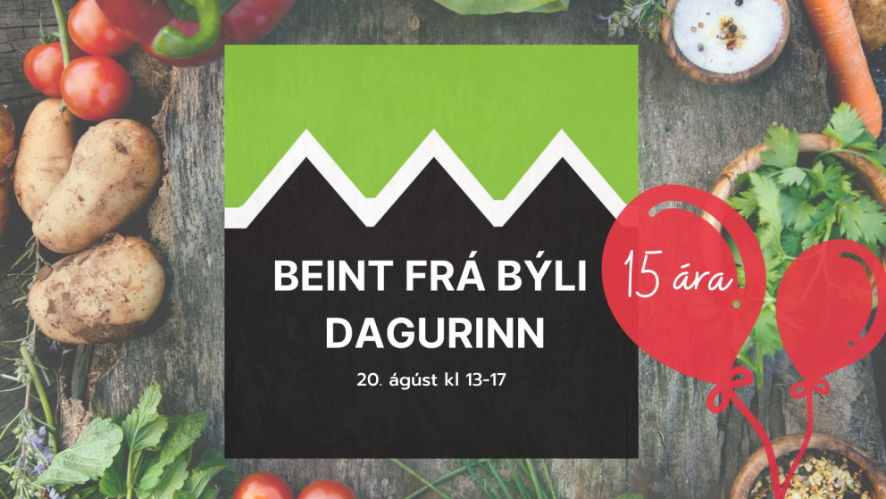 BEINT FRÁ BÝLI DAGURINN 20. ÁGÚST Í EFSTADAL II