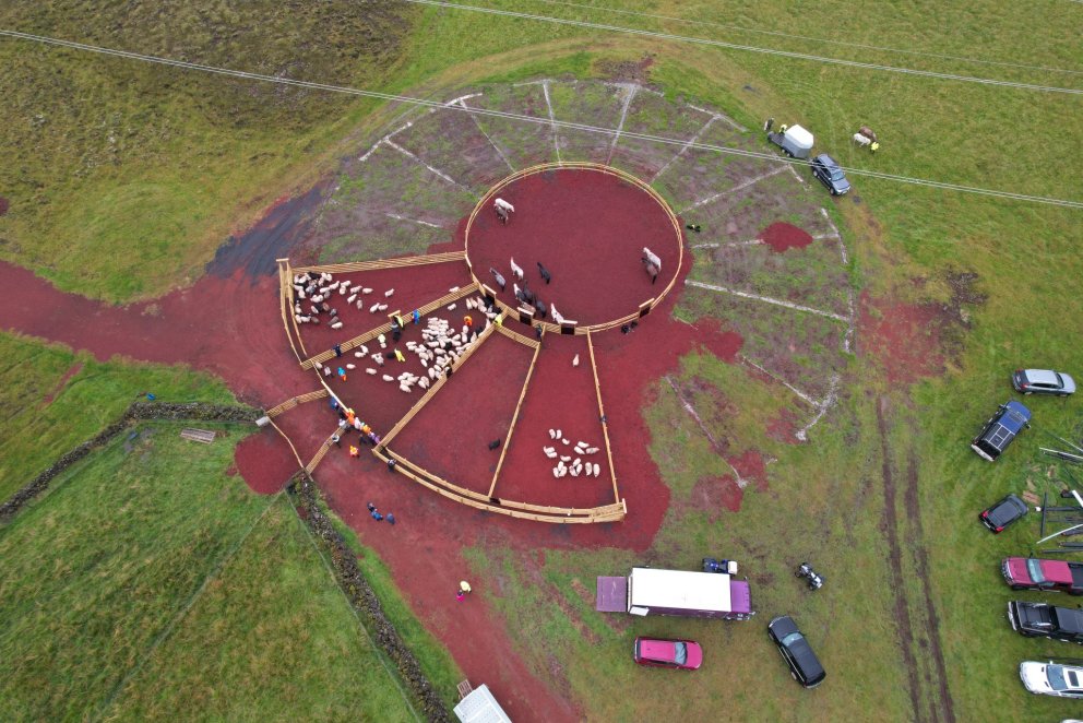 Nýjar Klausturhólaréttir