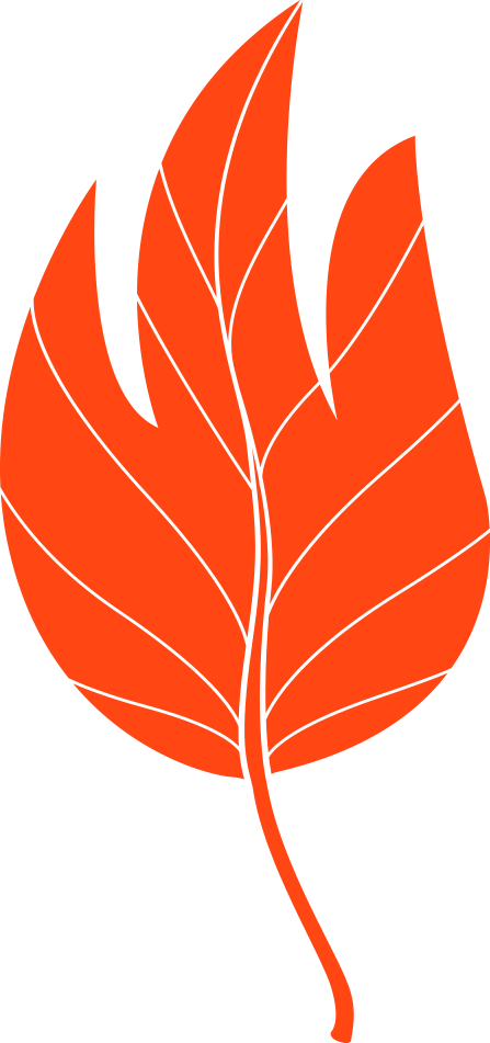 Hættustig vegna hættu á gróðureldum