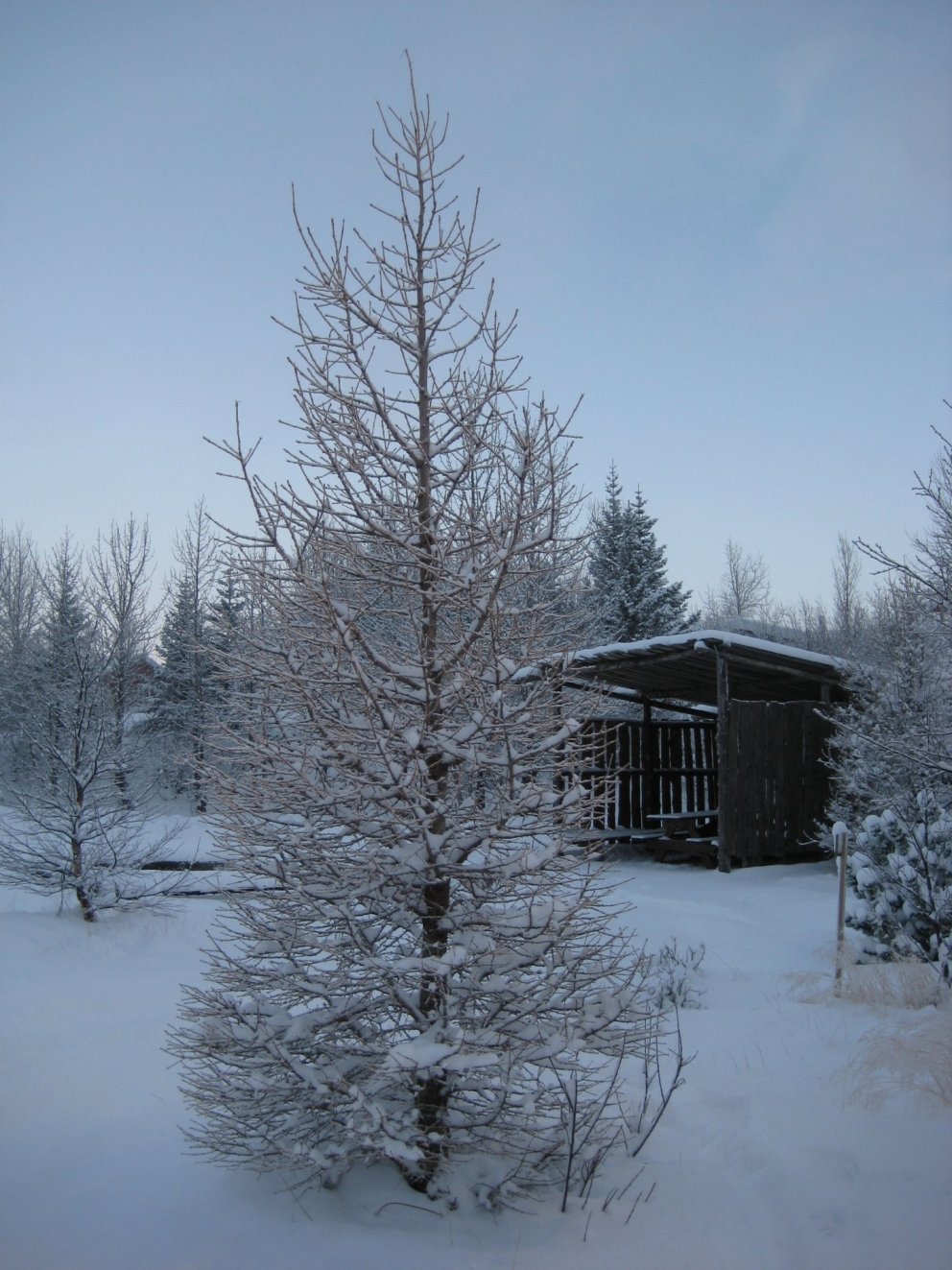 Jólapistill Oddvita Grímsnes- og Grafningshrepps