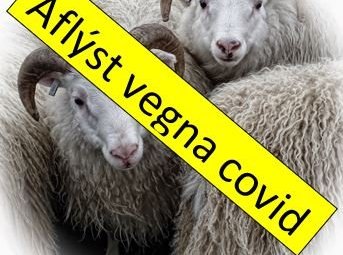 Sauðfjárræktarfélagið Barmur