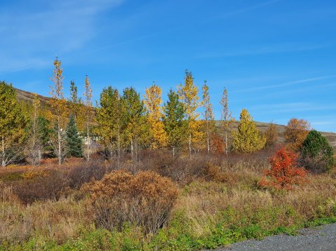 Fjöldi frístundahúsa í Grímsnes- og Grafningshreppi 2021
