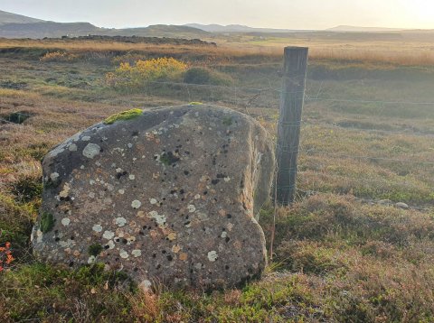 Fjallaskáli í Kringlumýri