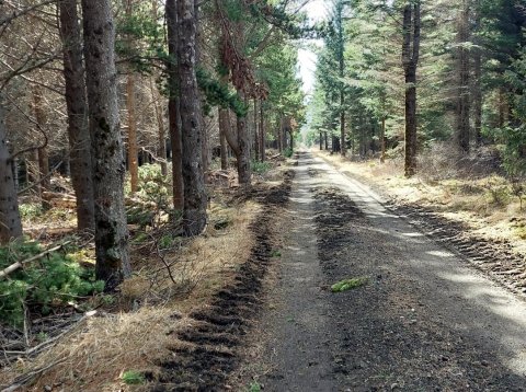 ÝMSIR STYRKIR Í BOÐI FYRIR SAMFÉLAGSVERKEFNI, UPPBYGGINGU OG NÝSKÖPUN