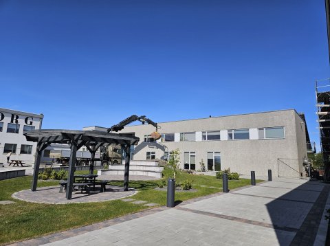 Endurnýjun þaka á Borg