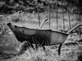 Erum við að leita að þér?