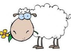 Sauðfjárræktarfélagið Barmur