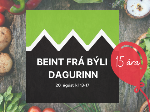 BEINT FRÁ BÝLI DAGURINN 20. ÁGÚST Í EFSTADAL II