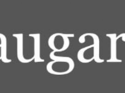 Vefsíðan www.laugaras.is