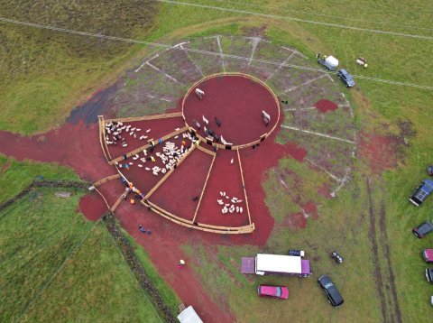 Nýjar Klausturhólaréttir