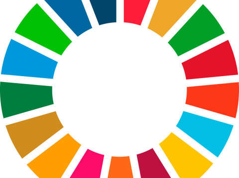 Innleiðing Heimsmarkmiða sameinuðu þjóðanna