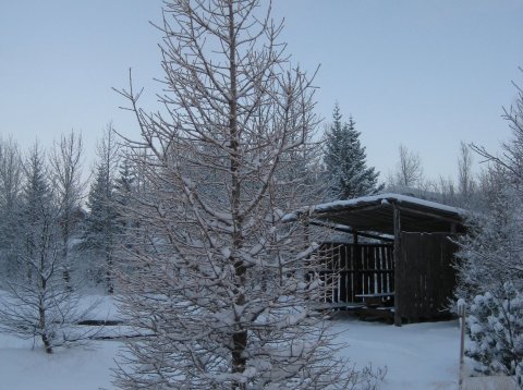 Jólapistill Oddvita Grímsnes- og Grafningshrepps