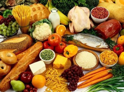 Matvælasjóður hefur opnað fyrir umsóknir