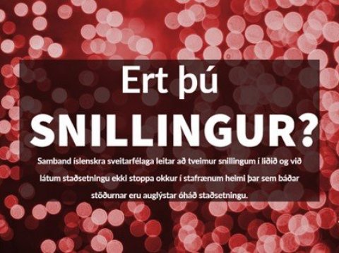 Ert þú snillingur?