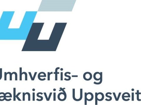 Sérfræðingur í skipulagsmálum